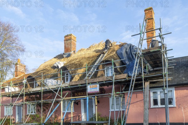 Thatcher at work replacing thatch ridge of thatched country pub building, Sorrel Horse, Shottisham, Suffolk, England, UK
