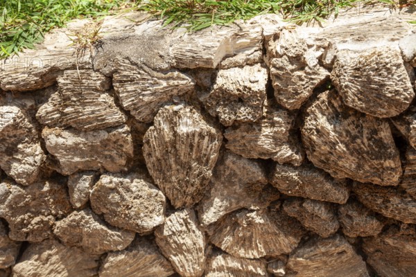 In the 80s, coral in the sea was dredged to be used as building material, Kuta, Bali, Indonesia