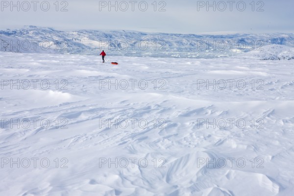 A tourist on a winter Arctic expedition skiing along Ikasartivaq Fjord, Sermersooq municipality, north of Ammassalik Island and facing Sermilik, Greenland, North America