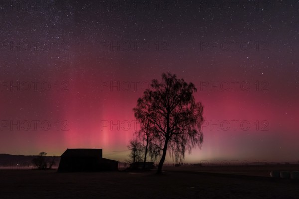 Northern lights, aurora borealis, solar storm, January 2026, red, green, hut, trees, birch, Loisach-Lake Kochel-Moore, Alpine foothills, Bavaria, Germany