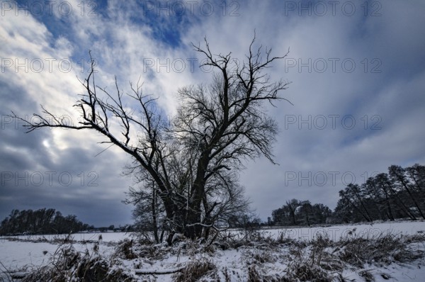 Wintery floodplain landscape along the Schmutter in the Augsburg Western Wälder nature park Park, Bavaria, Germany