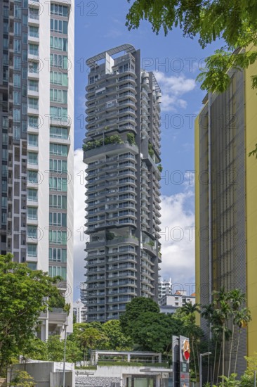 Espada condominium, residential high-rise building with flats and apartments in River Valley, Central Area in the city Singapore, Southeast Asia