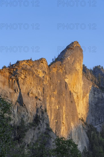 Leaning Tower with Alpenglow in Yosemite Valley, Yosemite National Park in the Sierra Nevada mountain range in California, USA, North America