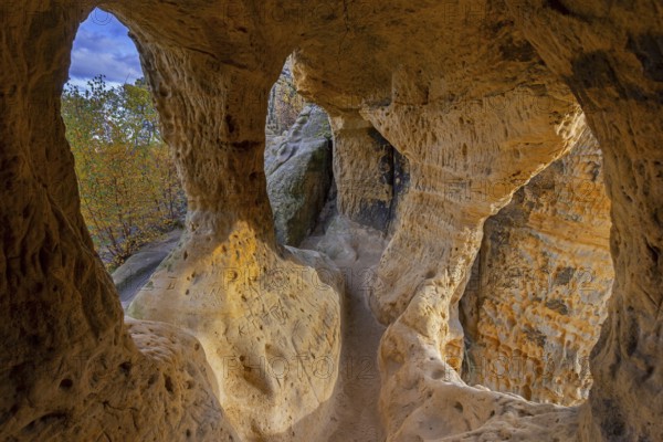 Klusfelsen, sandstone rock formation in Goslar near Halberstadt on the edge of the Harz Mountains, Saxony-Anhalt, Sachsen-Anhalt, Germany