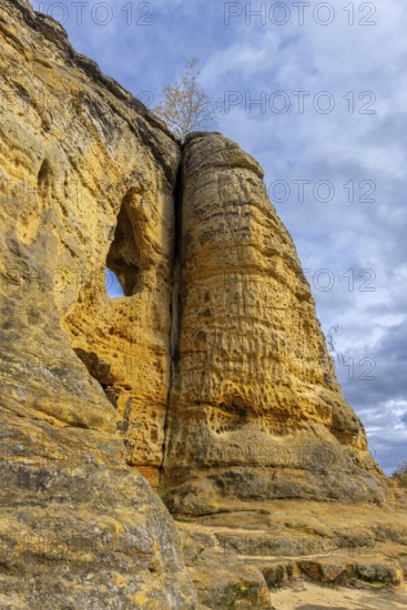 Klusfelsen, sandstone rock formation in Goslar near Halberstadt on the edge of the Harz Mountains, Saxony-Anhalt, Sachsen-Anhalt, Germany