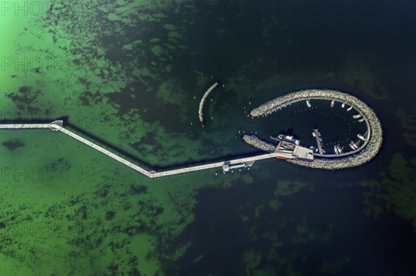 Aerial view over Seebrücke, pier and marina with boats at seaside resort Prerow along the Baltic Sea, Darß, Fischland, Mecklenburg-Vorpommern, Germany