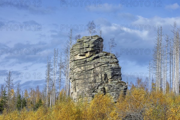 Feuersteinklippe, Feuersteine rock formation, granite butte in the Harz National Park near Schierke, Saxony-Anhalt, Sachsen-Anhalt, Germany