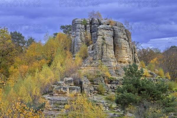 Klusfelsen, sandstone rock formation in Goslar near Halberstadt on the edge of the Harz Mountains in autumn, Saxony-Anhalt, Sachsen-Anhalt, Germany