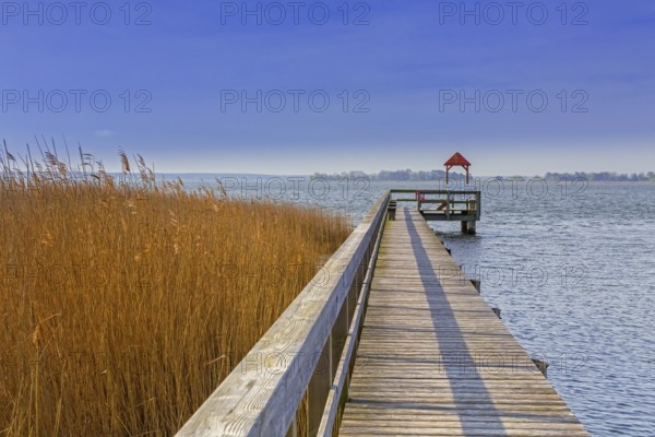 Wooden jetty in Wieck am Darß, Fischland-Darss-Zingst, holiday resort on the Darß peninsula in Mecklenburg-Western Pomerania, Germany