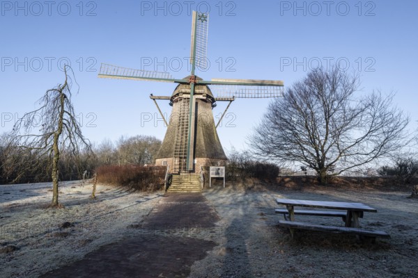 Windmühle, Hilter, Emsland, Lower Saxony, Germany