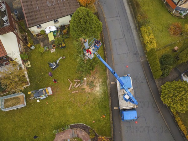 Work scene viewed from above with lift and vehicle on a green area in the suburbs, tree work, Gechingen, Calw district, Germany