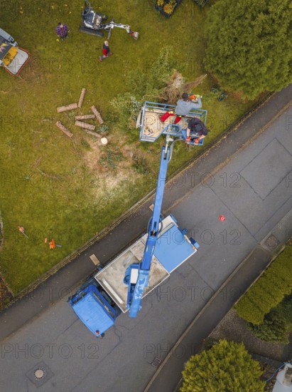 Scene shot from above with lift and vehicle while working on a tree, tree work, Gechingen, Calw district, Germany