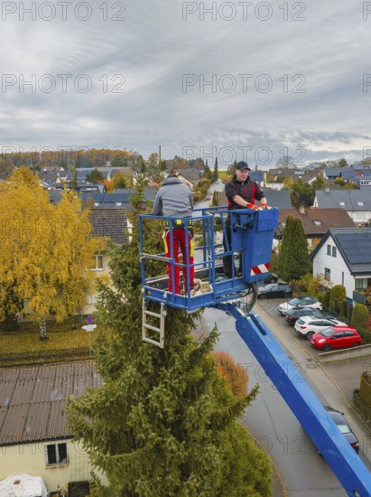 Workers on a lift working on a tree in an urban environment, tree work, Gechingen, Calw district, Germany