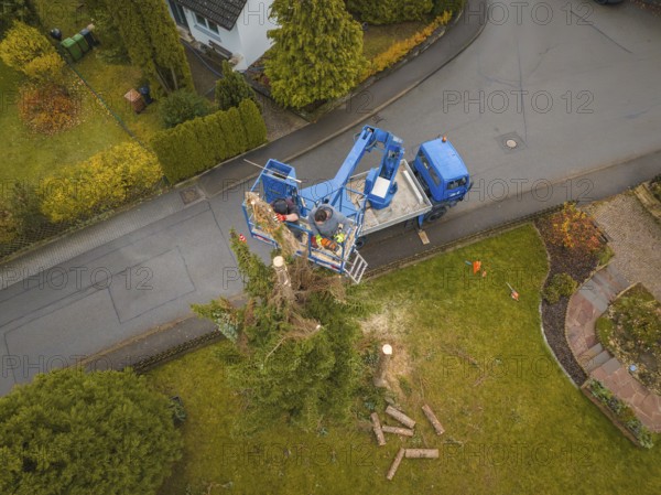 Aerial view of men on a lift working on a tree surrounded by a residential area, tree work, Gechingen, Calw district, Germany