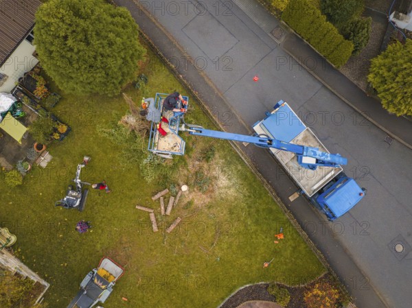 Fence, tree cutting with crane, worker removing branches on green field, autumn landscape, tree work, Gechingen, Calw district, Germany