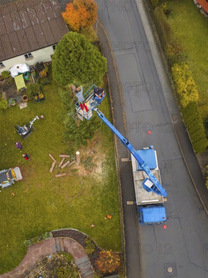 Lifting platform with workers on a road working on a tree surrounded by vehicles, tree work, Gechingen, Calw district, Germany