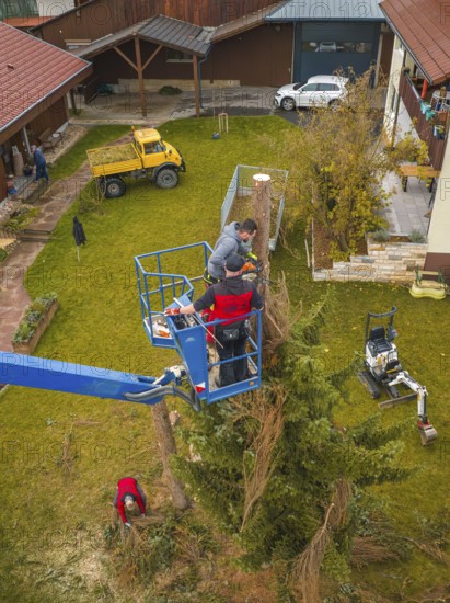 View of a group in a lift working with construction machinery in a garden, tree work, Gechingen, Calw district, Germany