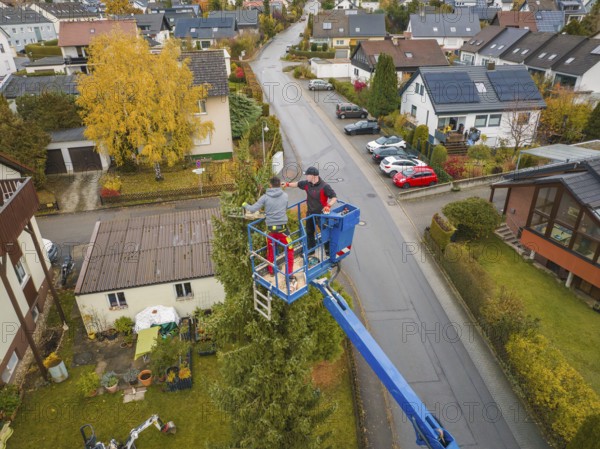 Worker in a lift in an urban area with residential buildings and autumn trees, tree work, Gechingen, Calw district, Germany