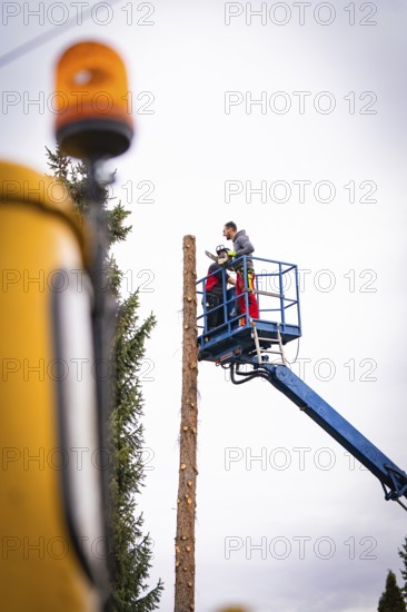 Two men work on a lift while felling a tree, tree work, Gechingen, Calw district, Germany
