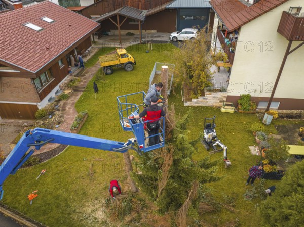 Men on a lift doing garden work in a large garden surrounded by buildings, tree work, Gechingen, Calw district, Germany