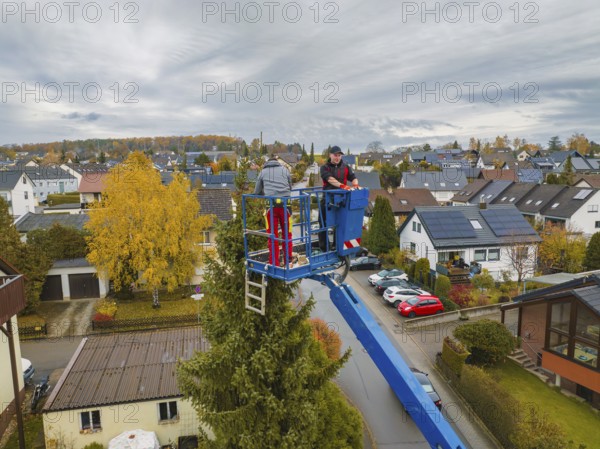 View of workers in a lift in front of a panorama of an autumnal residential area, tree work, Gechingen, Calw district, Germany