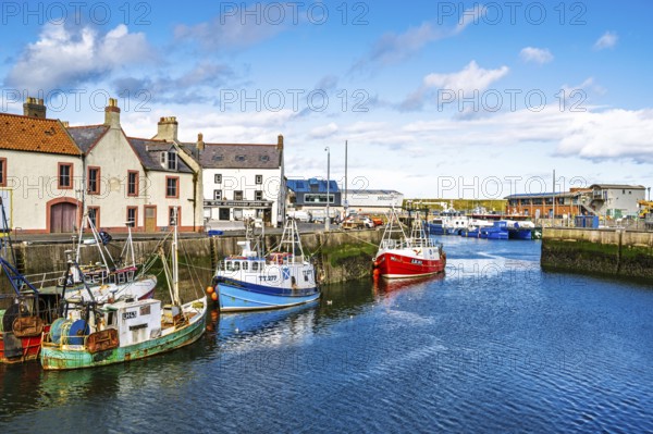 Eyemouth, Berwickshire, Scottish Borders, Scotland, UK