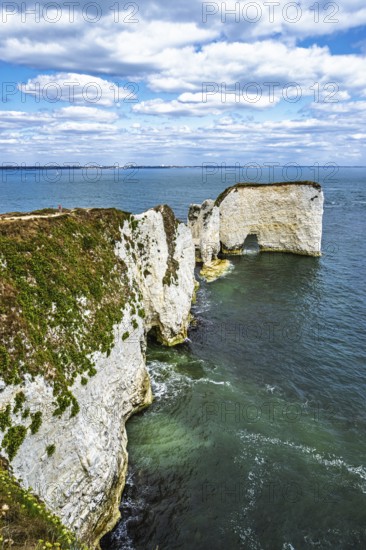 White Cliffs of Old Harry Rocks Jurassic Coast, Handfast Point, Dorset, UK