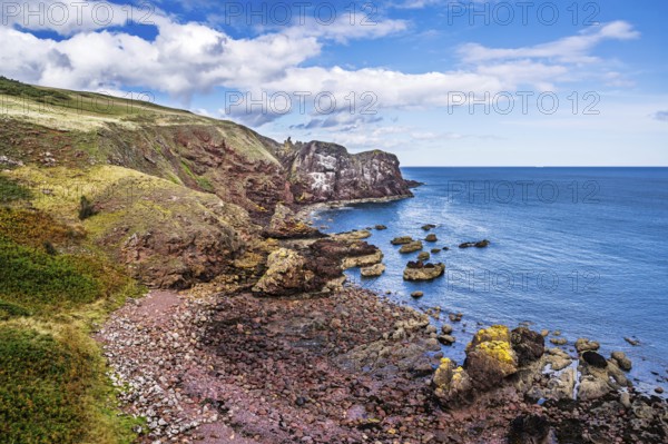 St Abbs, Eyemouth, Scottish Borders, UK