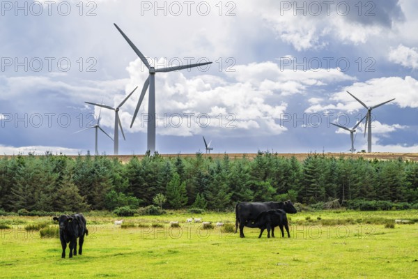 Wind Farm in southeast Scotland, UK