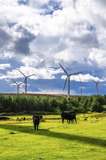 Wind Farm in southeast Scotland, UK