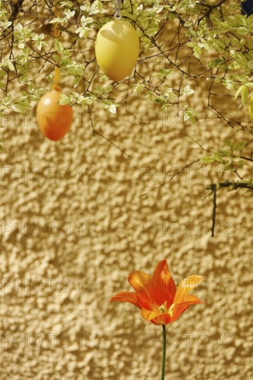 Still life with Easter eggs, Germany