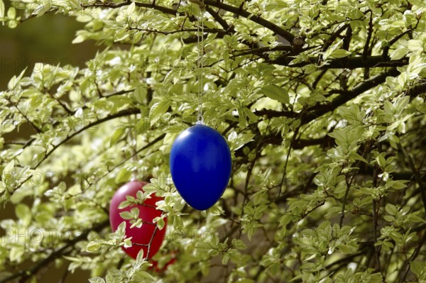 Still life with Easter eggs, Germany