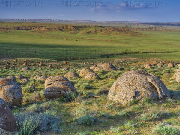 The large spherolites (concretions) at Torysh, with over 500–600 spheres of various sizes covering approximately 2–3 km² of terrain in the Valley of Balls, Mangystau region, Kazakhstan, Central Asia