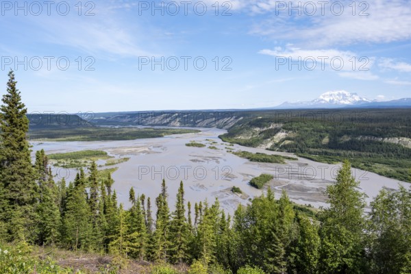Copper River and Taiga landscape with forest, high mountain peaks in the back, Wrangell Mountains, Alaska, USA