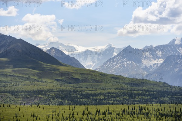 Taiga and tundra in front of mountain landscape, picturesque landscape with icy mountain peaks, Glenn Highway, Alaska, USA