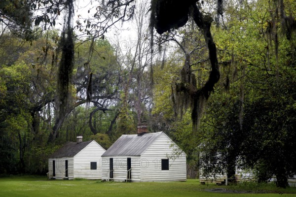Two white slave huts in a tree-lined area, Charleston, South Carolina, USA
