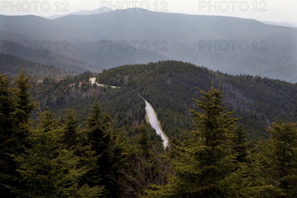 Serpentine road through wooded mountains, Mount Mitchell State Park, North Carolina, USA