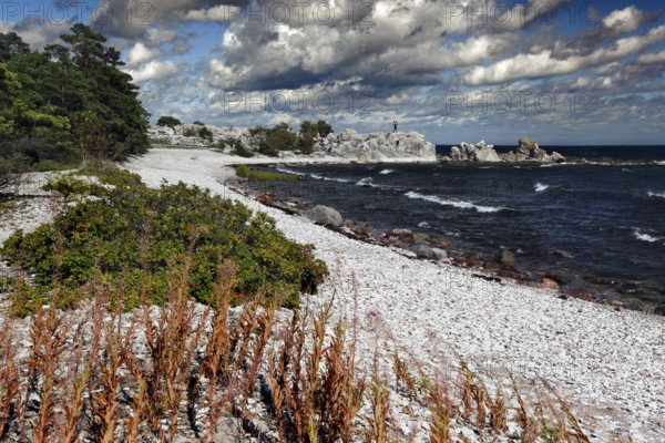 Rocks and cloudy skies characterize the rugged coastal landscape, Ljugarn, Gotland, Sweden