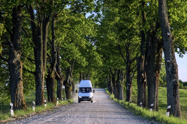 Tree-lined avenue with a car on the street, Yasnaya Polyana, Russia