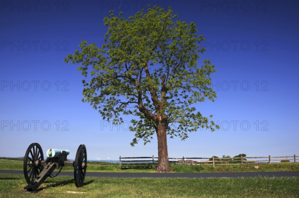 An old cannon is placed in front of a large tree on the grounds of Gettysburg National Military Park, Gettysburg, Pennsylvania, USA