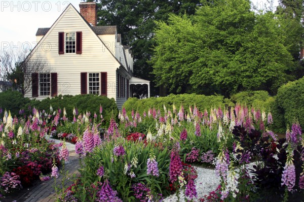 Custis Tenement surrounded by blooming gardens in Colonial Williamsburg, Williamsburg, Virginia, USA