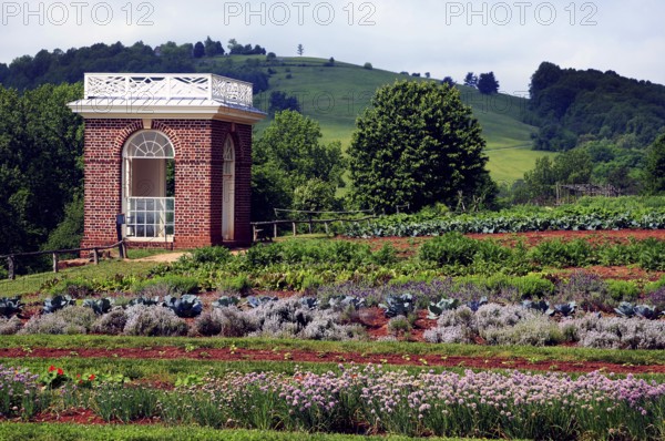 Monticello vegetable garden with picturesque landscape and lush greenery, Charlottesville, Virginia, USA