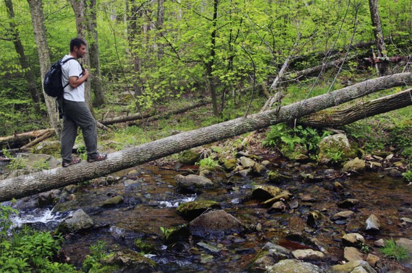 Hiker on a trail in Shenandoah National Park to Dark Hollow Falls, Shenandoah, Virginia, USA