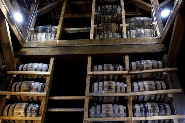 Shelves full of stacked wooden barrels in a distillery warehouse, Lynchburg, Tennessee, USA