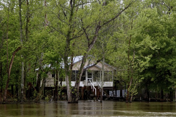 A lonely house is hidden in the swampy forest, Atchafalaya Basin, Louisiana, USA