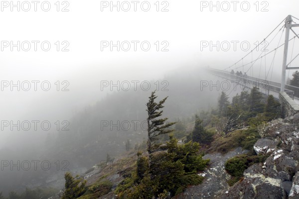 Suspension bridge in fog with wind-shaped trees and rocks in Grandfather Mountain State Park, Grandfather Mountain State Park, North Carolina, USA