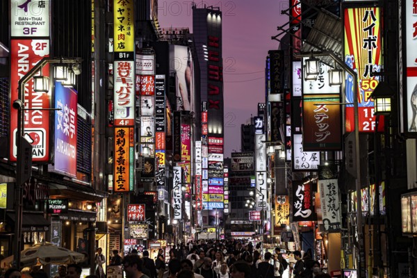 Glowing road signs in Kabukicho at night in Shinjuku, Tokyo, Shinjuku, Japan