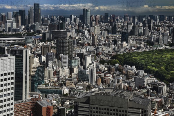 View from Tokyo Metropolitan Government Building over Shinjuku, Tokyo, Shinjuku, Japan