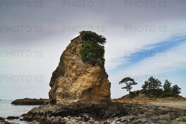 Yokosuka coast with distinctive rock formations and trees in Tateishi Park, Yokosuka, Kanagawa, Japan