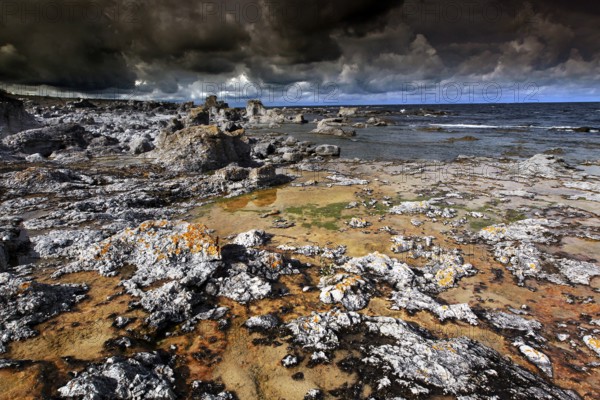 Limestone rock formations near Digerhuvud with rough coast, Digerhuvud, Fårö, Sweden